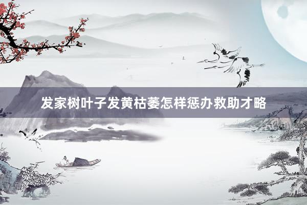 发家树叶子发黄枯萎怎样惩办救助才略